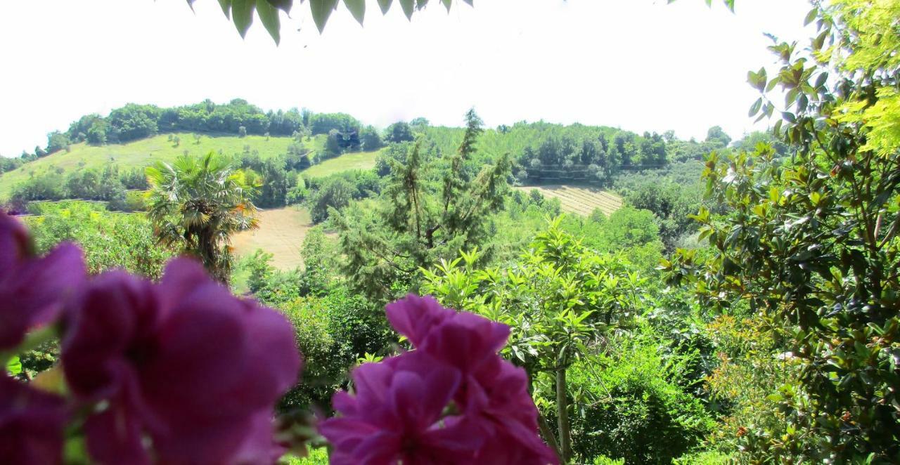 B&B Carboni Penna San Giovanni Exteriör bild