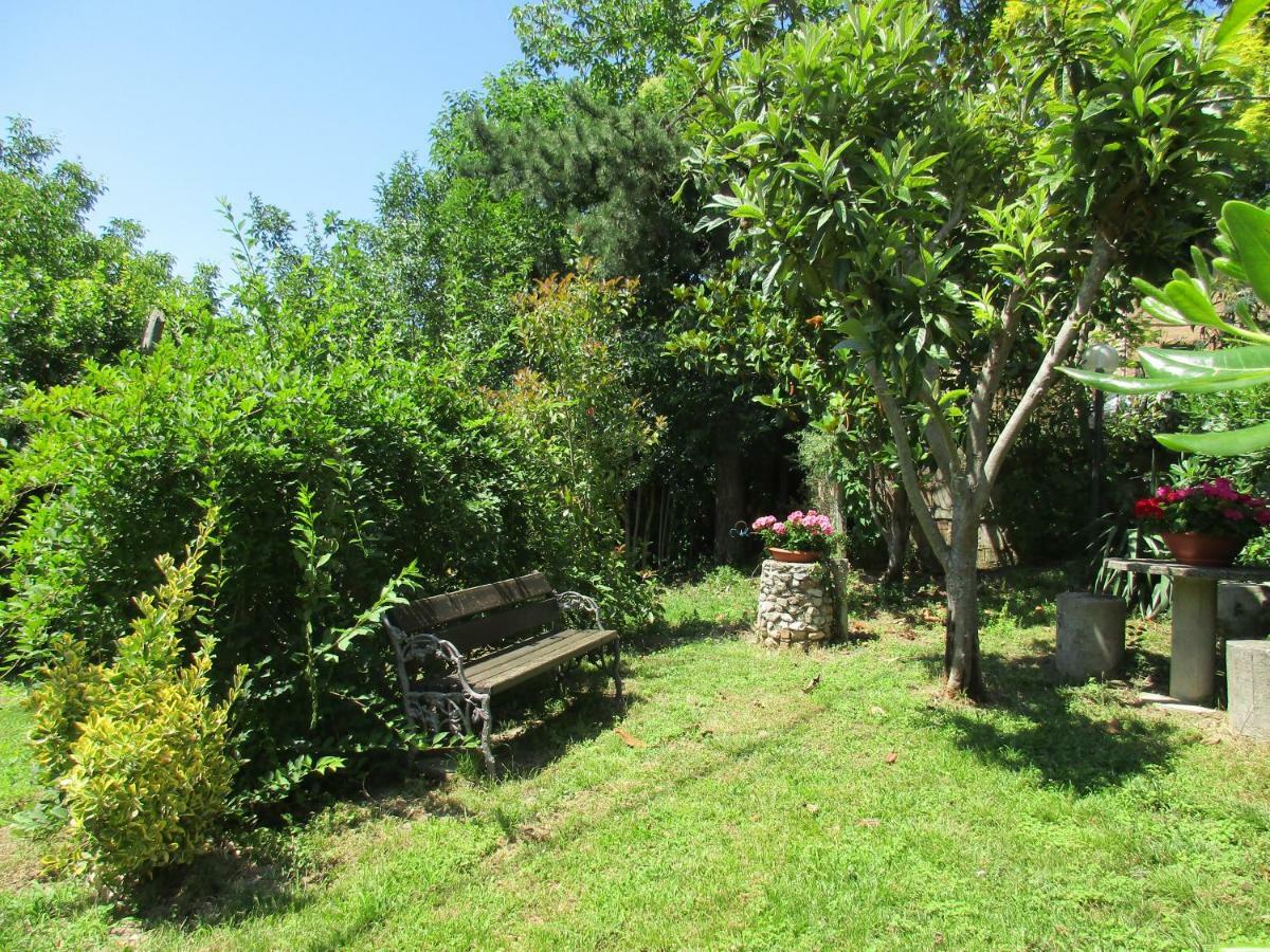B&B Carboni Penna San Giovanni Exteriör bild