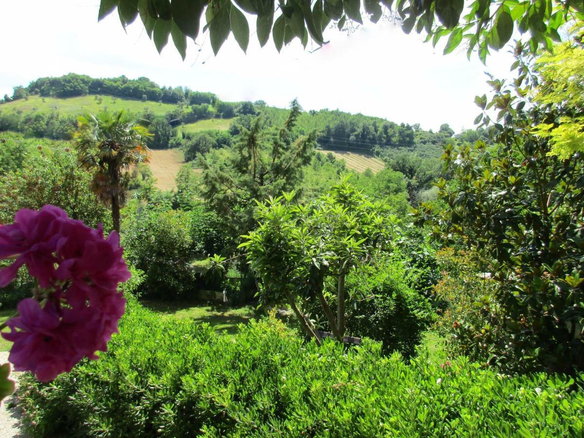 B&B Carboni Penna San Giovanni Exteriör bild