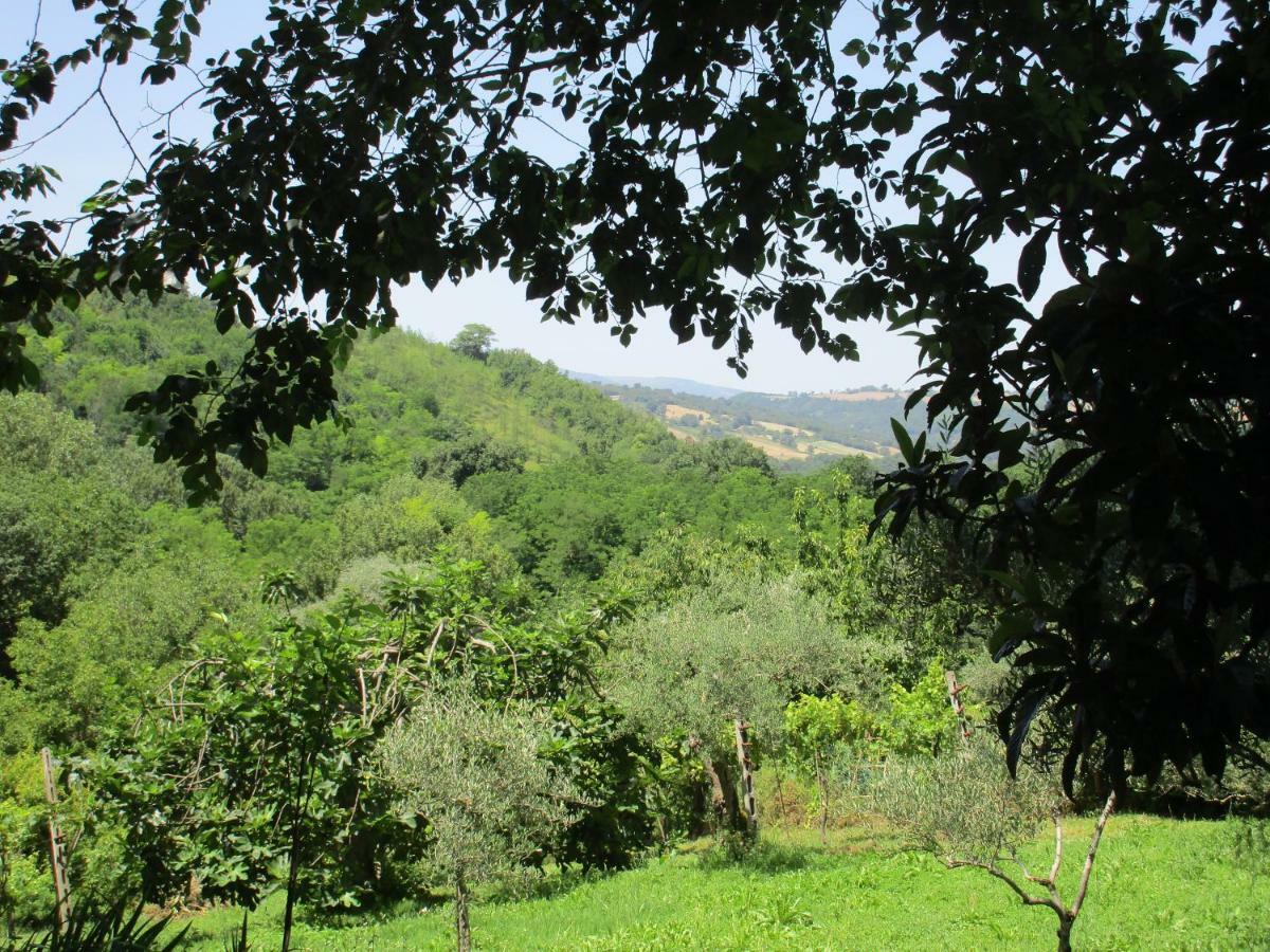 B&B Carboni Penna San Giovanni Exteriör bild