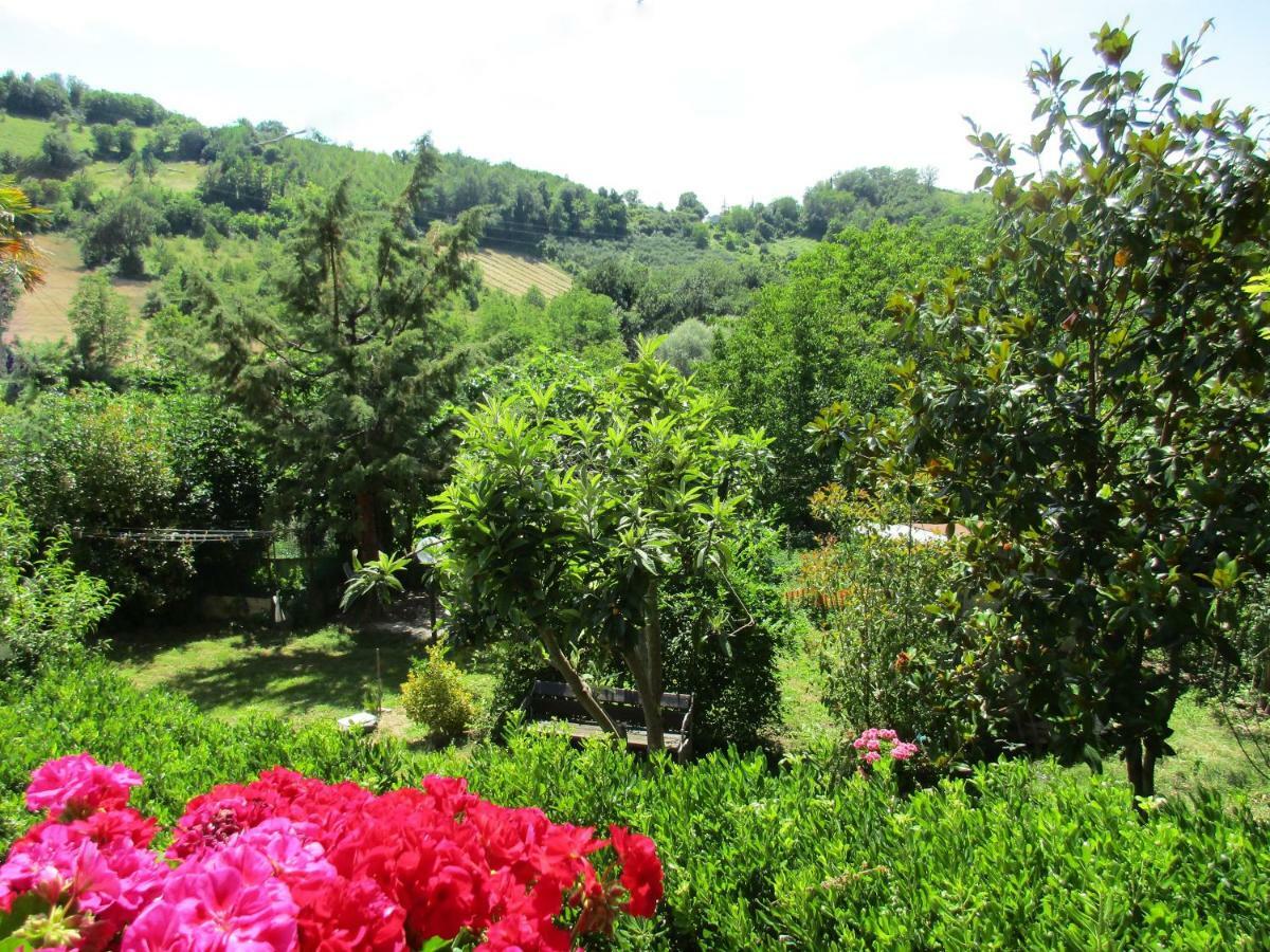 B&B Carboni Penna San Giovanni Exteriör bild