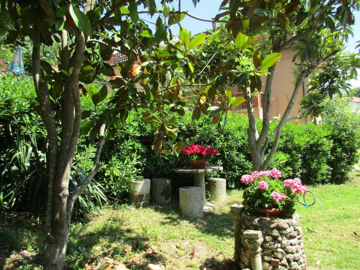 B&B Carboni Penna San Giovanni Exteriör bild